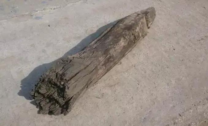 票字家族：骠、镖、标（標）、鳔、膘，​鱼儿之所以能在水里沉浮