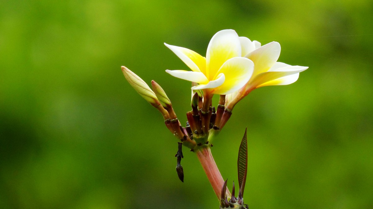 随遇而安不悲不喜,随遇而安一切皆好