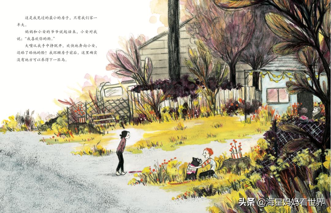 提高3-6岁孩子想象力的绘本,让孩子提升想象力的书