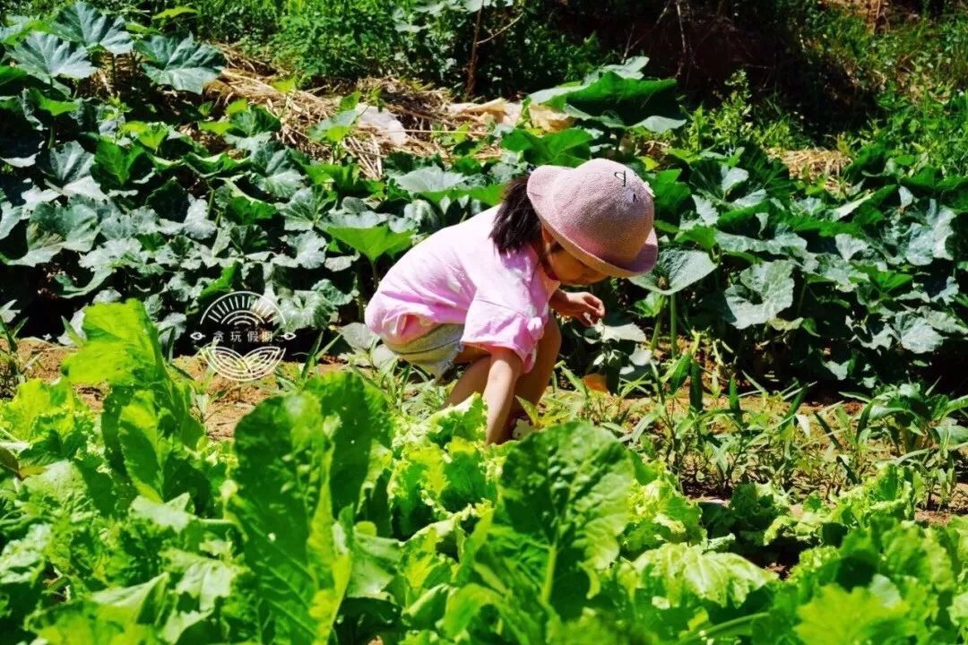 深山隐蔽的世外桃源,隐藏在乡间的世外桃源