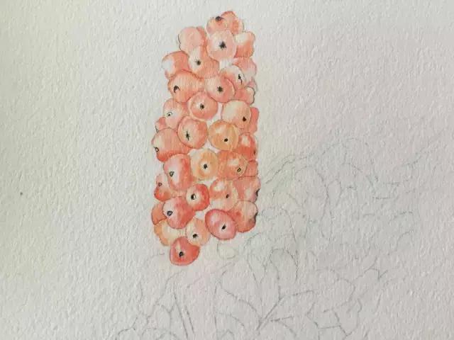 水彩密密麻麻的树叶怎么画,水彩画教程入门叶子