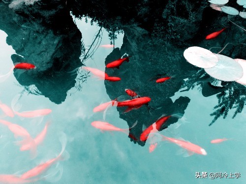 写景状物类阅读要注意哪两点,写景状物类文章常见表现手法