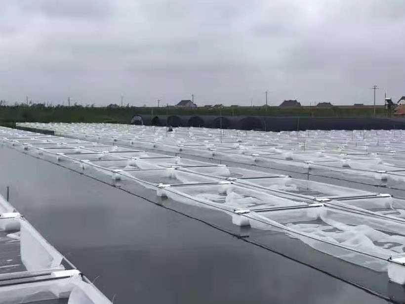 蚂蟥养殖创业,蚂蟥的养殖利润和成本