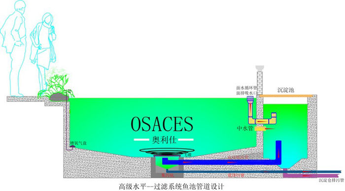 池养锦鲤新手必备十大忠告,新手养鱼最容易踩的坑