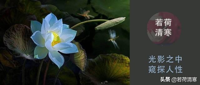 一个男人的自述：“我爱你，但不想娶你。”