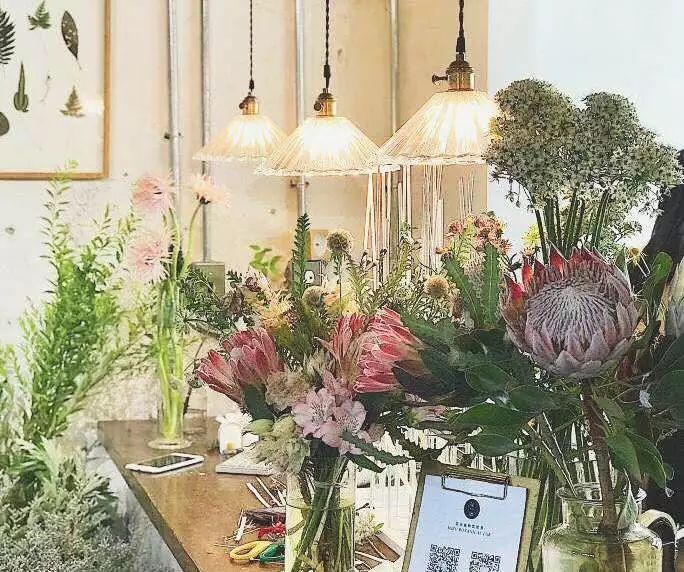 北京最美花店,她放弃了总监职位后续