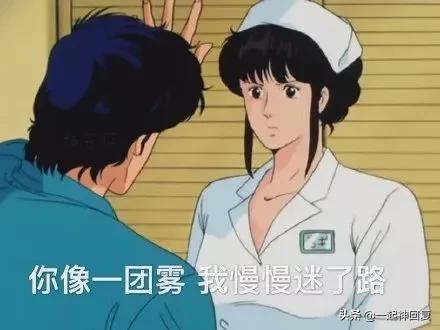 给母猪保健用什么中药最好,给母猪做产后护理