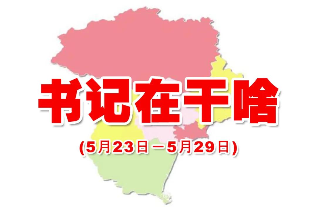 坚守初心讲政治担当实干抓落实,讲政治勇担当促发展书记在干啥
