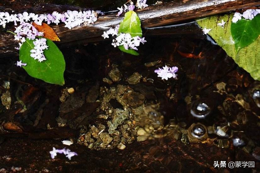 形容武夷山风景优美的成语,形容有山有水风景秀丽的成语