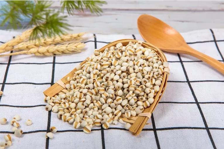 一鸽胜九鸡鸽子怎么吃才补身体,一鸽胜九鸡炖法