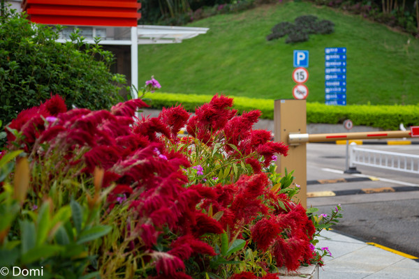 珠海值得游玩的地方推荐,珠海最值得玩的22个地方