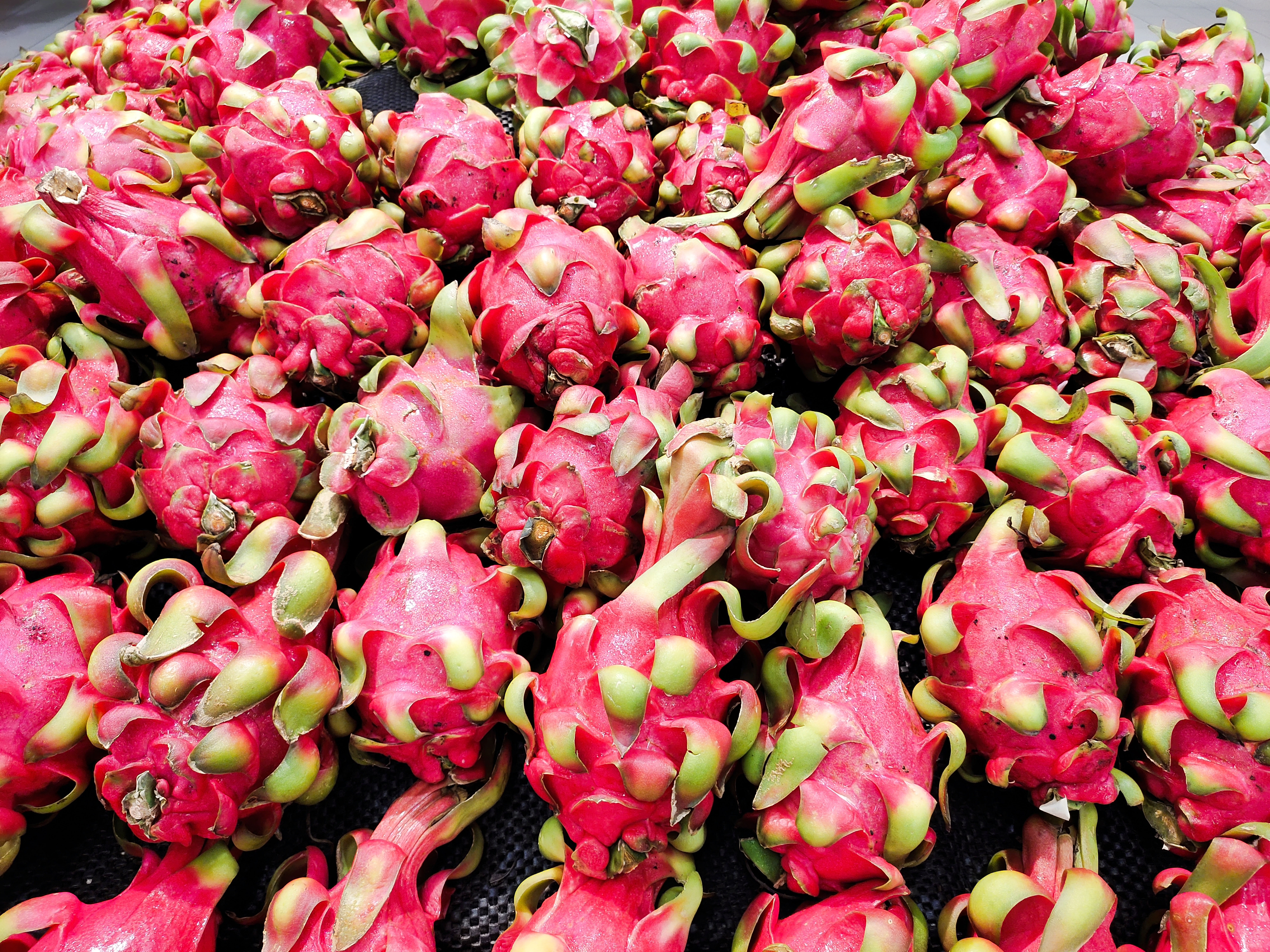 vivoz5到底值不值得入手,vivoz5值不值得学生党用