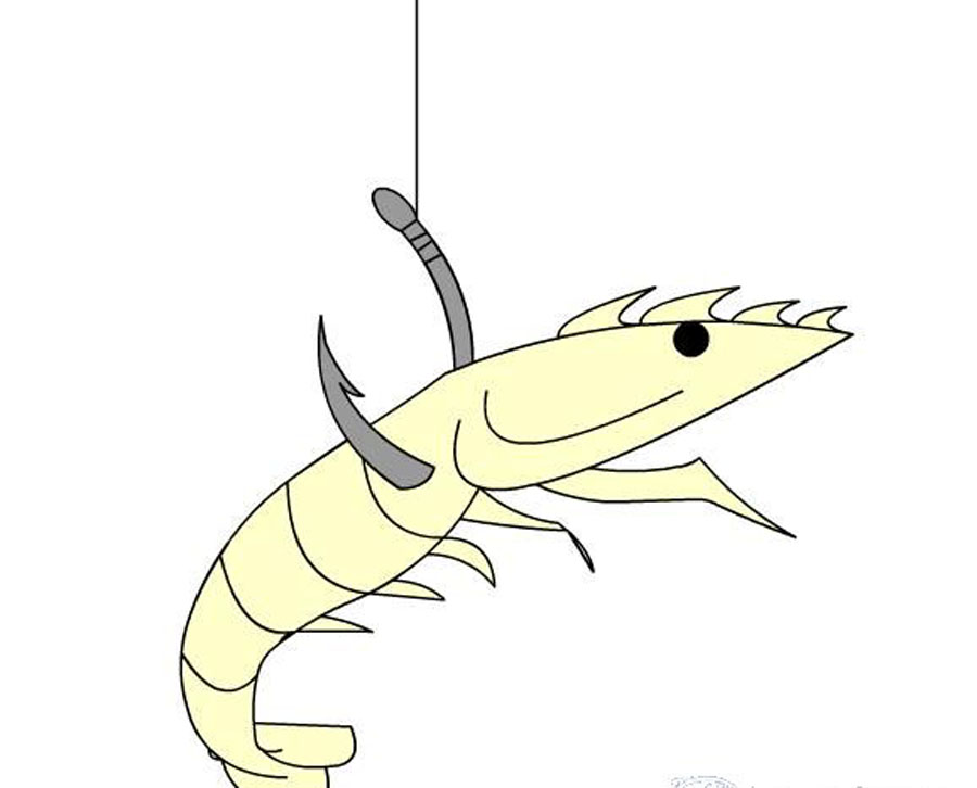 怎么用蚯蚓钓很多甲鱼,什么饵料钓黄甲鱼最好