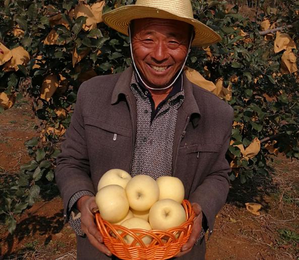 山东奶白桃,山东奶白脆苹果