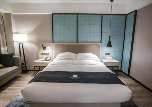 东呈国际酒店投资,东呈国际酒店效果图