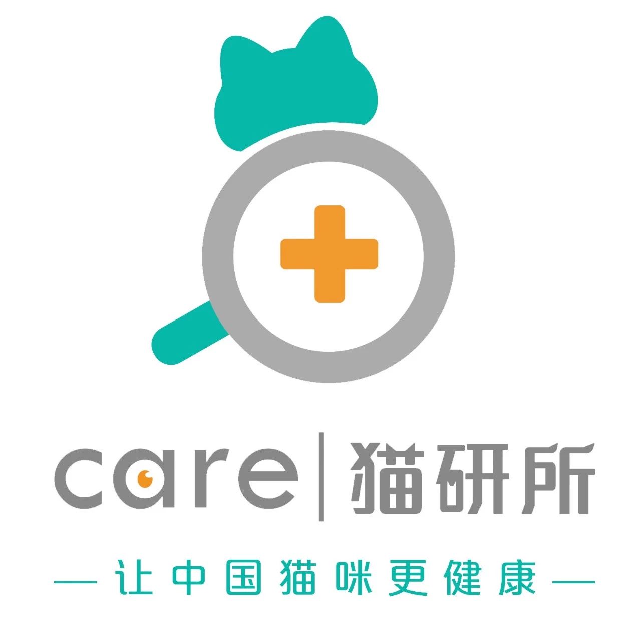 只需一个容器，你就能收获一滩“液体猫”