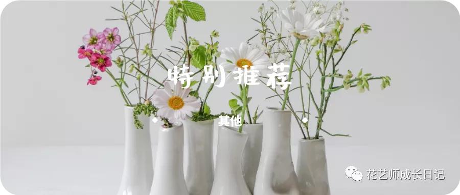 开业季特辑|一片金灿灿，开业造势招财大麦花礼