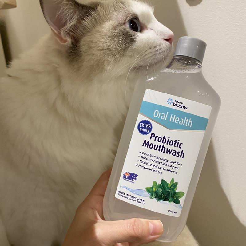 澳洲益生元,澳洲椰子油漱口水