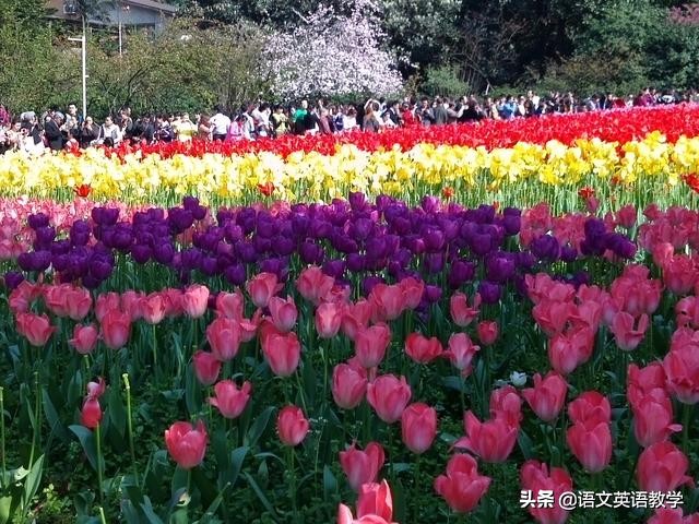 语文100个多音字让孩子快速掌握,小学语文多音字积累大全电子版