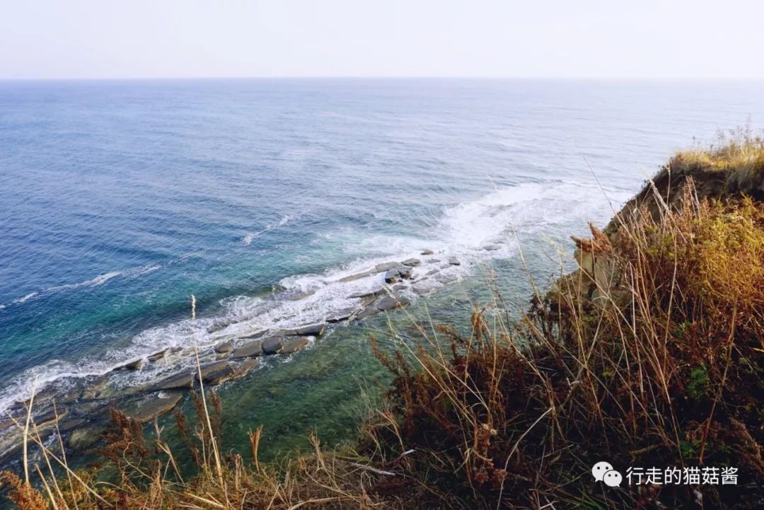 俄罗斯海参崴高端团自由行,俄罗斯海参崴吃喝攻略