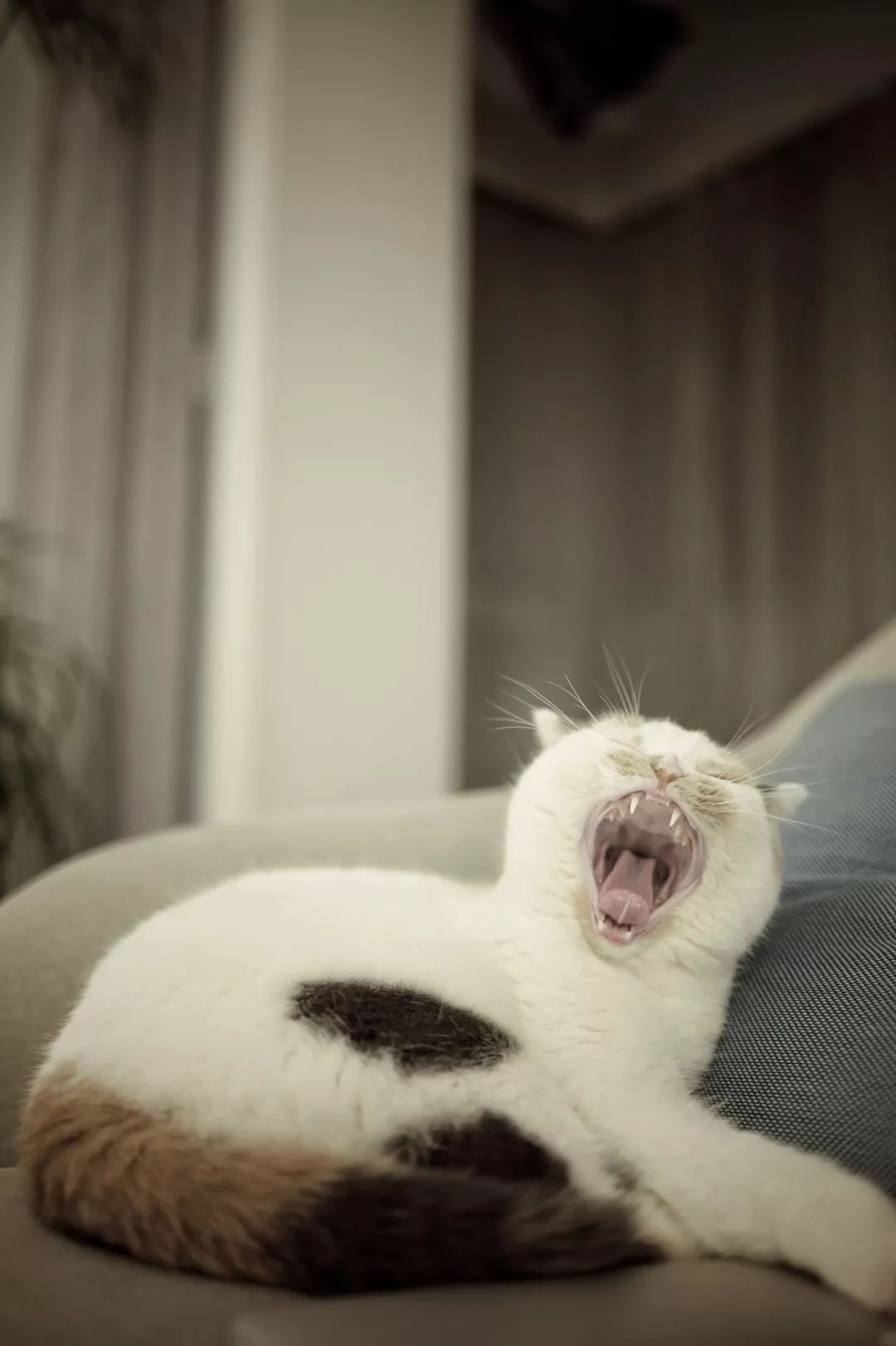 在机场睡觉24小时,在机场等待的6个小时