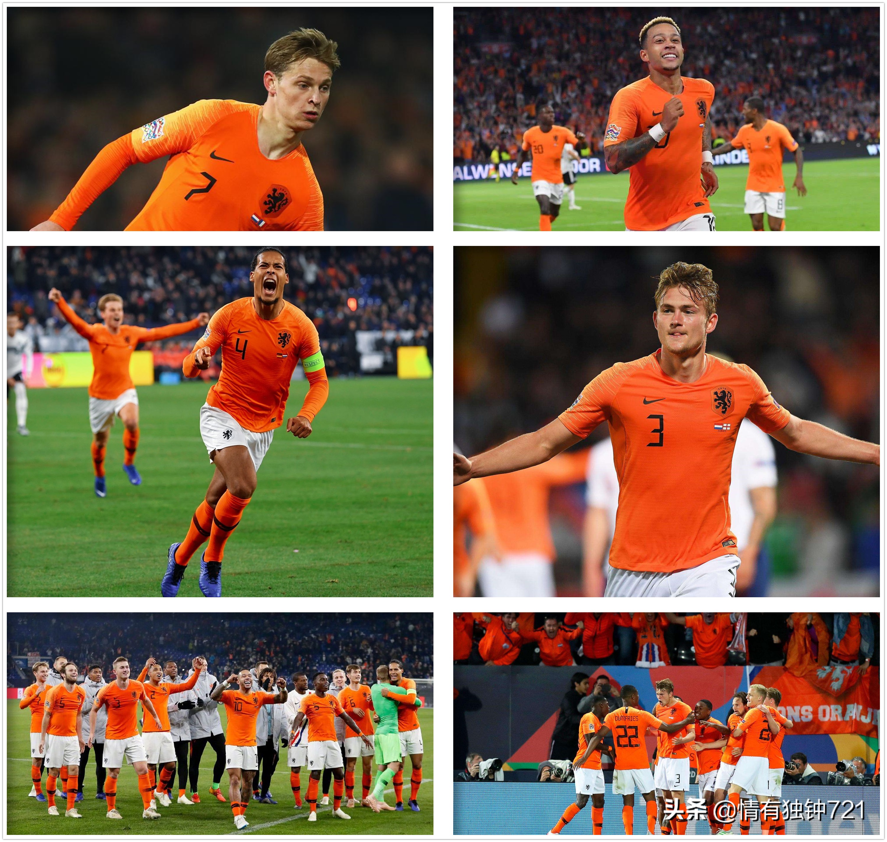 郁金香将再次绽放荷兰,郁金香还会再开花吗