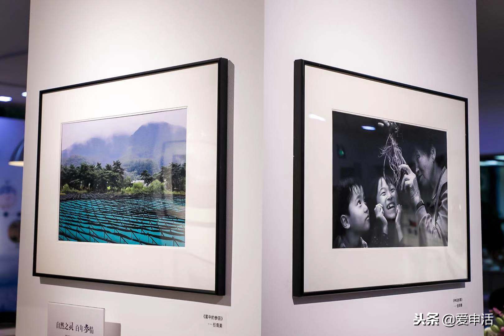 韩国人参展示厅,韩国摄影展