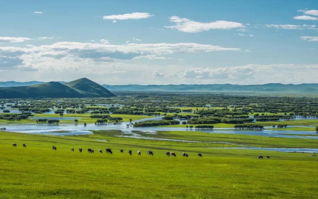 让人惊奇冷知识：“衣冠*兽禽**”竟然是夸人