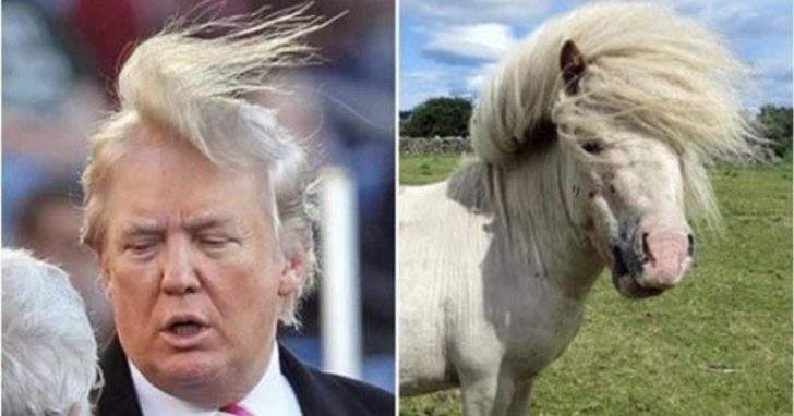 自媒体注意事项及运营,自媒体运营发文时间规定