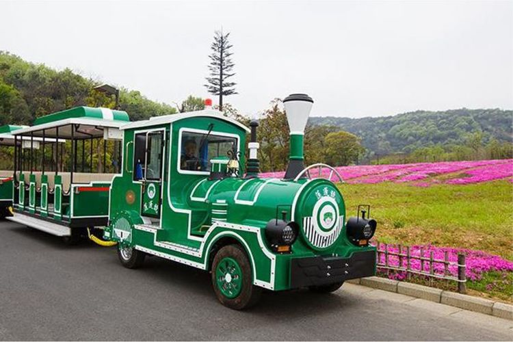 新春打卡重庆香水百合网红艺术节，坐小火车、玩玻璃滑道...