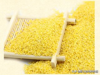 唐三镜张思漫：酿酒技术-小米黄酒的酿制方法及功效