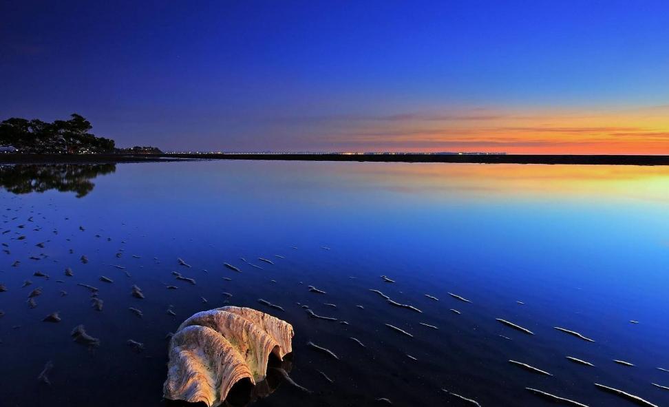 观察鹦鹉的作文300字,观察虎皮鹦鹉作文