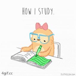 三个技巧让孩子学会超右脑记忆法,孩子的记忆力差教你用右脑记忆