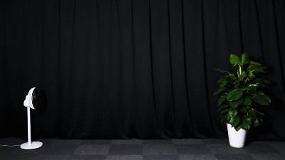 巴慕达风扇扇叶,巴慕达中国版多少钱