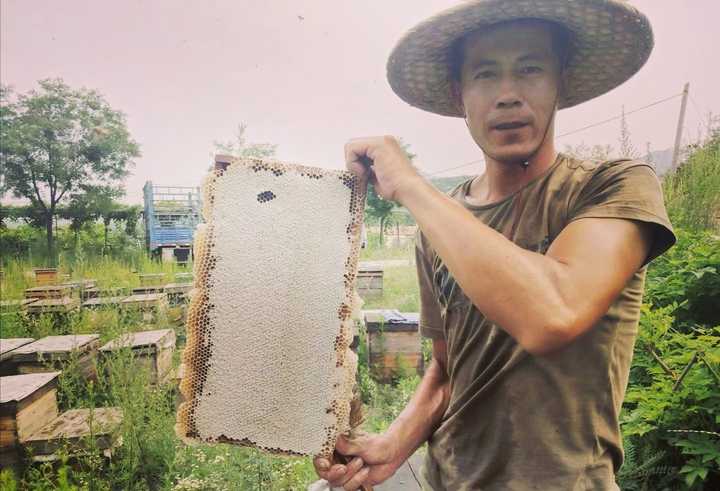 讨论一下什么是爱,讨论一下什么是性价比