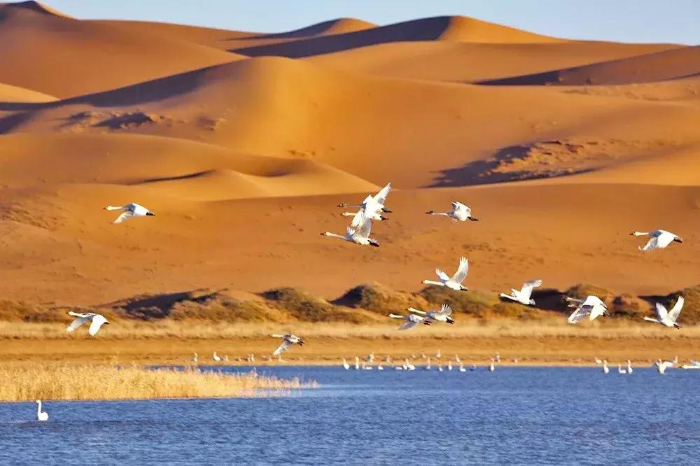 11月适合去旅行的著名风景推荐,10月11月适合旅游的地方