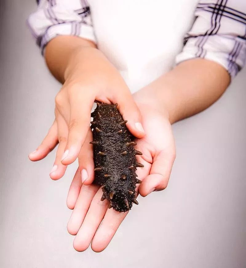 早上吃一个海参还用再吃早餐吗,早餐可以只吃海参吗