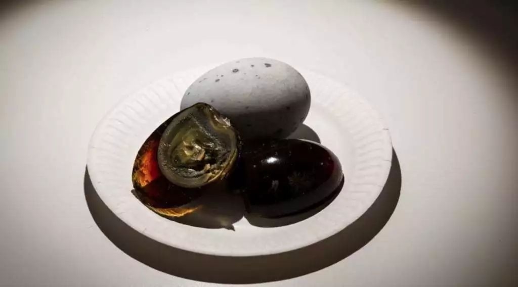 瑞典最恶心食物博物馆,瑞士最恶心食品博物馆