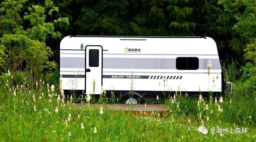 亲子游推荐地金湖水上森林景区,金湖水上森林景区攻略视频