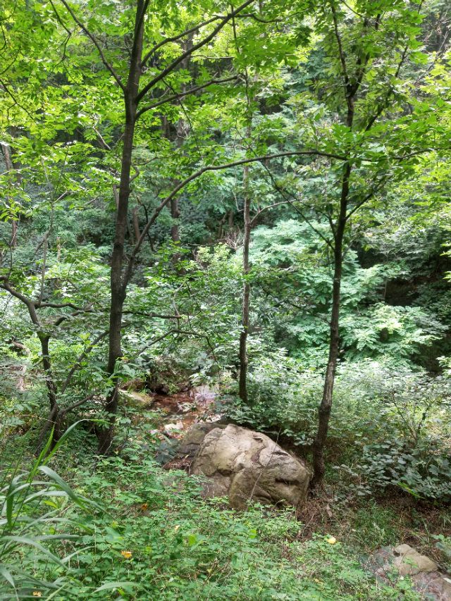 舞钢藏坪村古诗,舞钢臧坪村诗句