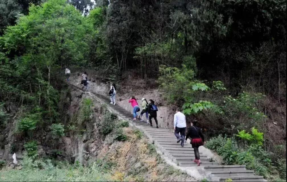 青白江十大健身地,青白江体育