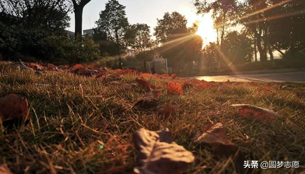 国内专科大学排名,贵州都有几所国内著名专科大学