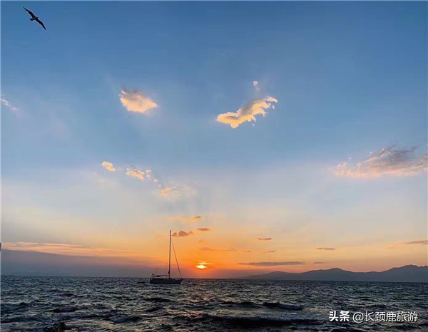 全国各地七夕浪漫游打卡,七夕去哪玩比较浪漫北京
