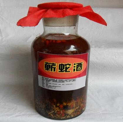 樟树民间传说,蕲蛇酒传说