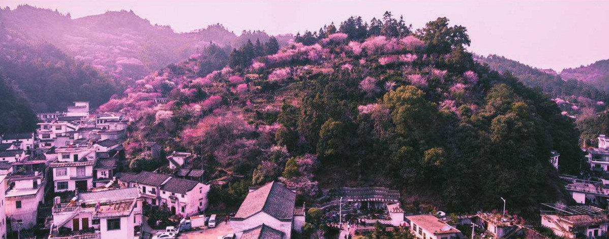 文房四宝产地歙县～盆景徽剧之乡～高山土楼梯田