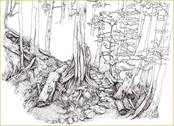 彩铅入门基础教程风景画,彩铅风景画教程简单入门