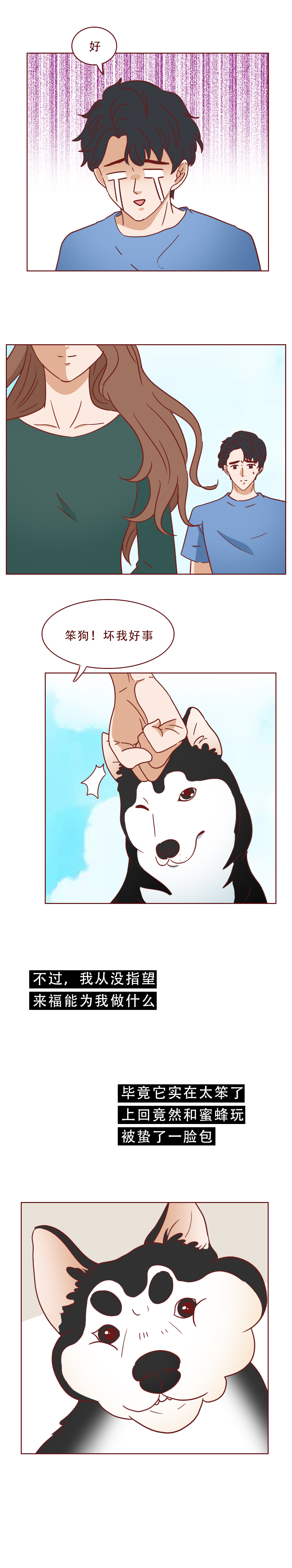 捡了一只猫好像抑郁了怎么办,一只抑郁症猫咪被救赎的故事