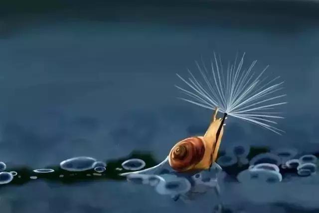 凤凰涅槃浴火重生新人,凤凰涅槃浴火重生英文怎么说