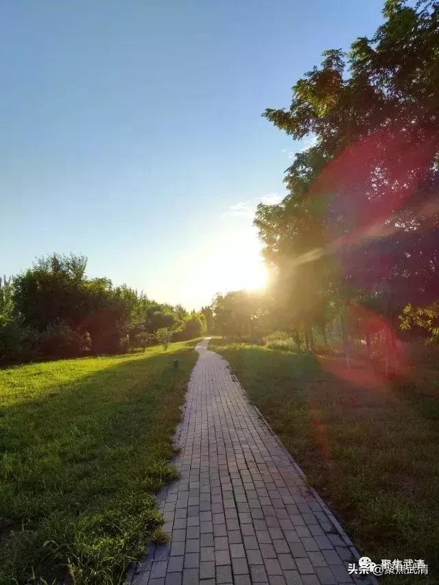 定了！武清这个镇被定为天津市特点文化产业示范镇