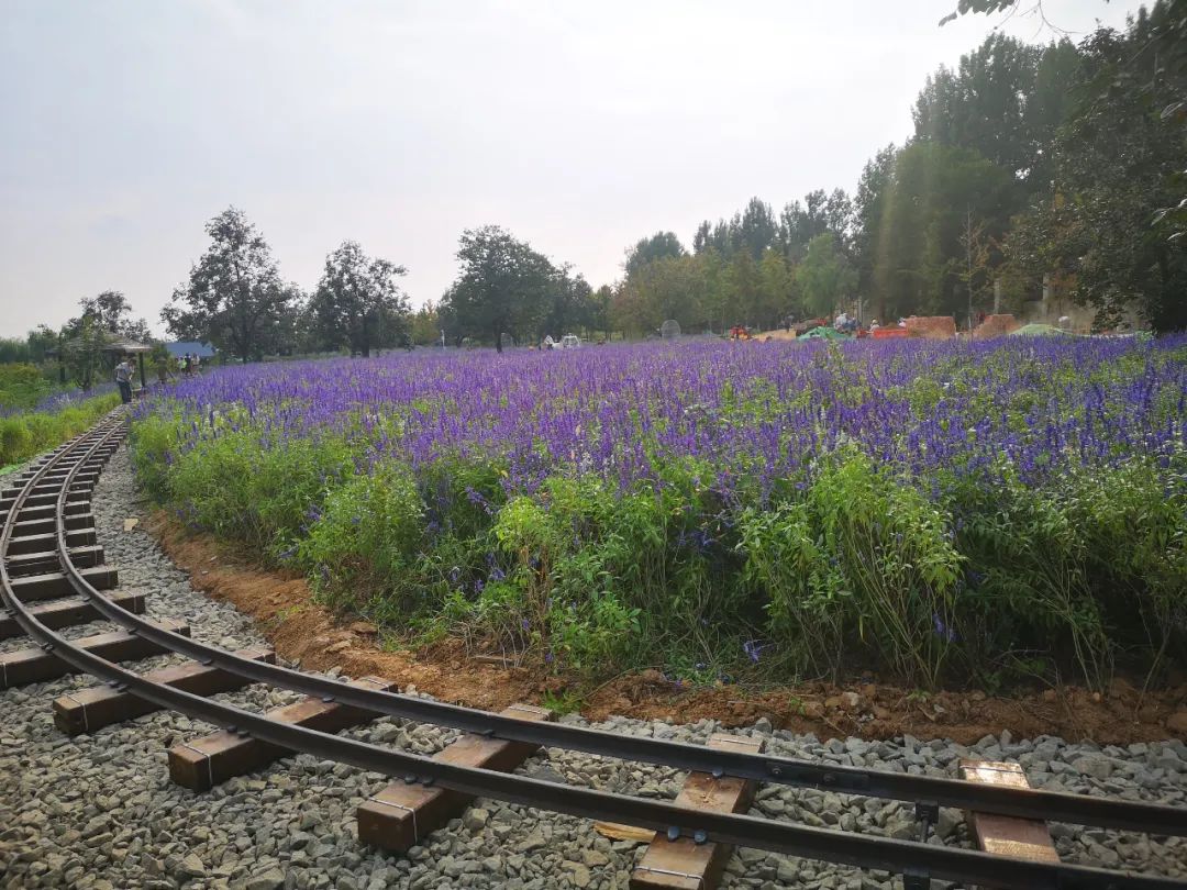 昌平温泉度假二日游,昌平温泉两天一夜攻略